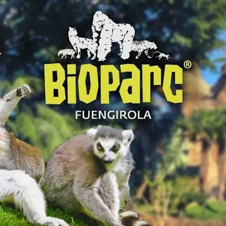 Wonderful In The Heart Of And Close To The * פואנגירולה