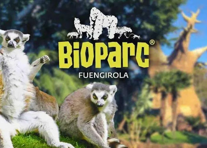 Wonderful In The Heart Of And Close To The * Фуэнхирола